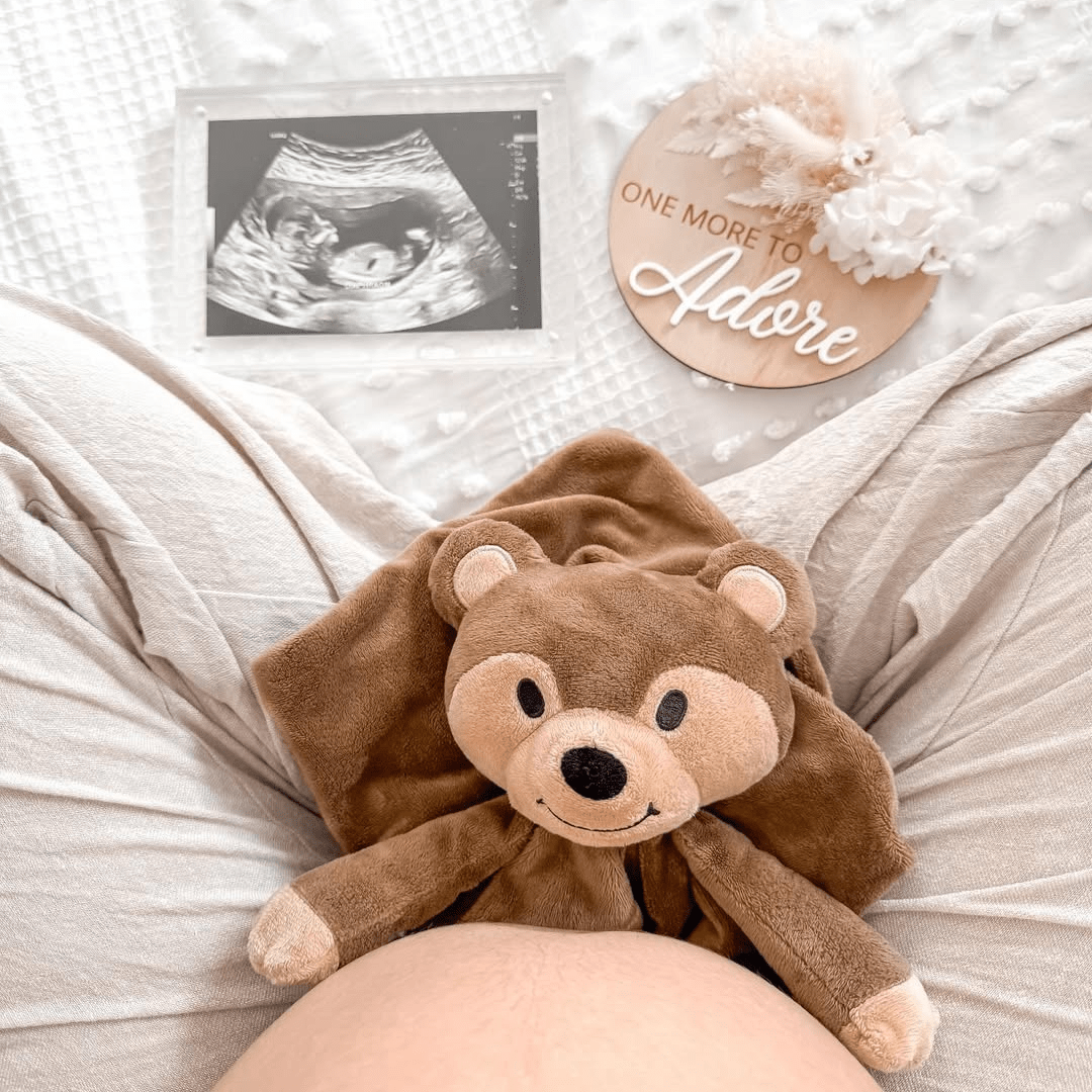 Sleep Toy - Banjo The Bear